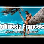 Descubre el fascinante idioma y moneda de Bélgica en 70 caracteres o menos