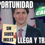 Descubre los m&uacute;ltiples tipos de idioma chino &iexcl;Sorpr&eacute;ndete!