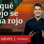 &iquest;Por qu&eacute; aprender franc&eacute;s puede ser un desaf&iacute;o? Descubre por qu&eacute; el franc&eacute;s es un idioma dif&iacute;cil.