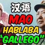 Descubre tus habilidades ling&uuml;&iacute;sticas: &iexcl;Mejora tus niveles de idioma alem&aacute;n!