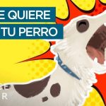 Parche espa&ntilde;ol windows 7: soluci&oacute;n a problemas con idioma