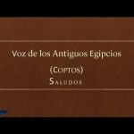Descubre c&oacute;mo traducir una palabra a los idiomas m&aacute;s utilizados