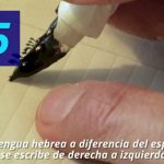Descubre el misterioso idioma vasco: &iexcl;Eskerrik asko!