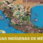 &iquest;Sabes qu&eacute; idioma se habla en T&uacute;nez? Descubre la respuesta aqu&iacute;.