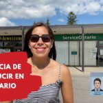 &iquest;Sabes de qu&eacute; idioma proviene la palabra ‘blanco’? Desc&uacute;brelo aqu&iacute;