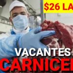 Empleo sin barreras ling&uuml;&iacute;sticas: Descubre las ofertas de trabajo en Noruega