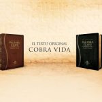 Descubre el origen del idioma alem&aacute;n en esta investigaci&oacute;n