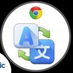 Intercambia idiomas con facilidad: Descubre la mejor app para aprender lenguas
