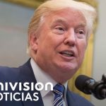 Descubre c&oacute;mo el idioma alem&aacute;n est&aacute; ganando terreno en Polonia.