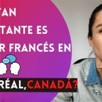 &iquest;Sabes en qu&eacute; idioma se habla en Viena? Descubre todo sobre la lengua oficial de la ciudad.
