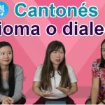 Lo siento en todos los idiomas: c&oacute;mo pedir disculpas de manera efectiva