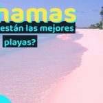Descubre el idioma oficial de Viena, &iexcl;un destino que no te dejar&aacute; indiferente!