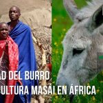 Descubre c&oacute;mo entender un texto en un idioma raro en solo 5 pasos