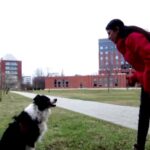 Bella Ciao: &iquest;En qu&eacute; idioma se canta la ic&oacute;nica canci&oacute;n?