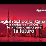 Descubre en qué idiomas se utiliza la letra ñ
