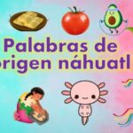&iquest;Cu&aacute;ntas palabras tiene un idioma? Descubre la sorprendente respuesta