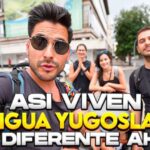 Descubre los 4 idiomas m&aacute;s populares en el mundo.