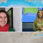 Aprende a dominar la Gestión de Uno Mismo según los expertos de Harvard