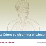 Aprende a dominar la Gestión de Uno Mismo según los expertos de Harvard