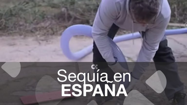 España sufre sequías históricas: ¿qué podemos hacer?