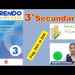 Descubre cuántos billetes de cada número existen en la Lotería de Navidad