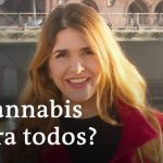 Descubre el nuevo nombre de Bankia y su impacto en el sector financiero