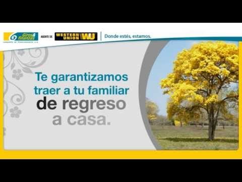 Giros y Finanzas en España: ¿Descubre las claves para alcanzar el éxito financiero?