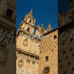 Descubre la maleta perfecta para volar con Ryanair: ¡Viaja ligero y sin preocupaciones!