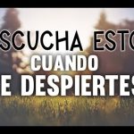 Frases de &aacute;nimo para enfermos: un b&aacute;lsamo de esperanza en momentos dif&iacute;ciles