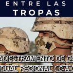 Estrategias efectivas para combatir la delincuencia organizada