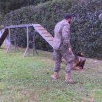 Escuela militar en pachuca