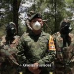 Apoyo psicol&oacute;gico para excombatientes: Recuperaci&oacute;n y bienestar