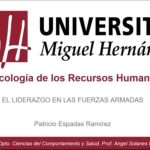 Mejores Prácticas de Mantenimiento de Armamento