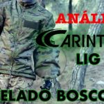Manejo eficiente de contingencias en invasiones