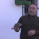 Apoyo psicol&oacute;gico para excombatientes: Recuperaci&oacute;n y bienestar