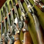 Manejo de contingencias en invasiones: Estrategias eficaces