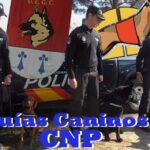 Herramientas tecnol&oacute;gicas para la polic&iacute;a en el ciberespacio