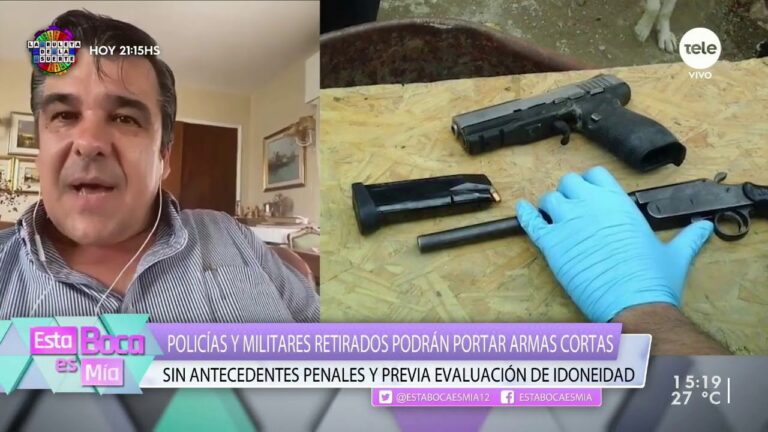 Regulaciones actuales sobre armas de fuego