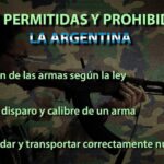 Regulaciones para el uso de armas en la policía científica