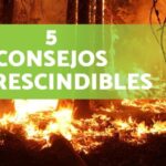 Prevenci&oacute;n de accidentes viales: La labor de la Guardia Civil