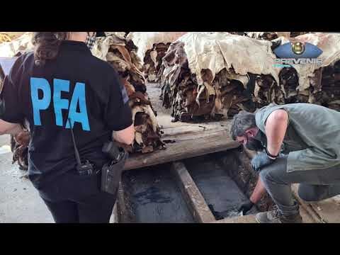 Prevención del delito ambiental: El papel de la policía