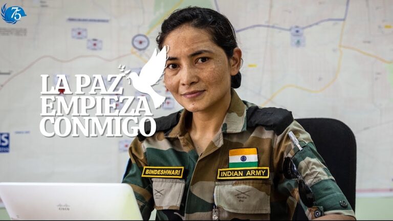 Desaf&iacute;os en operaciones de paz: Una mirada concisa