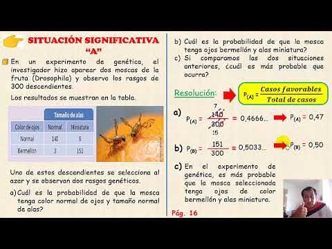 Análisis y clasificación de sustancias peligrosas por la Guardia Civil