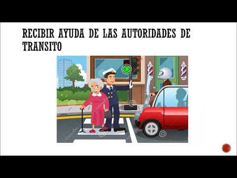 Derechos y deberes del conductor: todo lo que debes saber