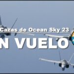 T&aacute;cticas de Combate de Unidades Especiales: Estrategias Eficaces