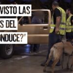 Prevención de Incidentes en Eventos: Estrategias Clave para un Evento Seguro