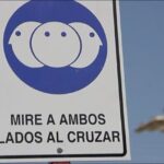 Consejos de seguridad para manipular pistolas en la marina