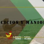 Optimizaci&oacute;n de la detecci&oacute;n de contrabando en fronteras
