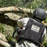 Prevención de la Violencia Armada: Estrategias Efectivas