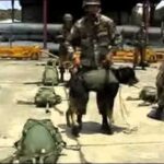 Desarrollo personal: clave en la educaci&oacute;n militar